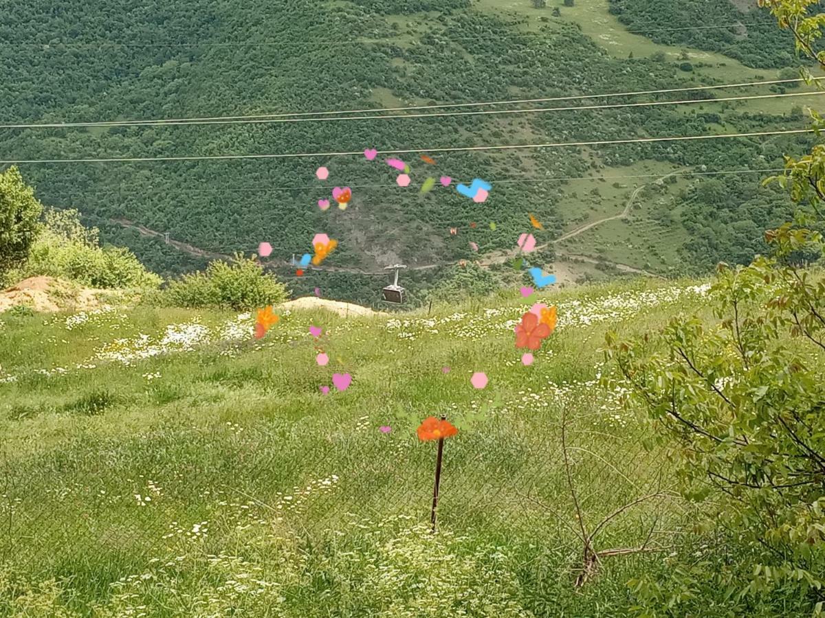 Rubina Bed And Breakfast Tat'ev Bagian luar foto